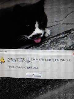 XP����񂩂烁�b�Z�[�W�B